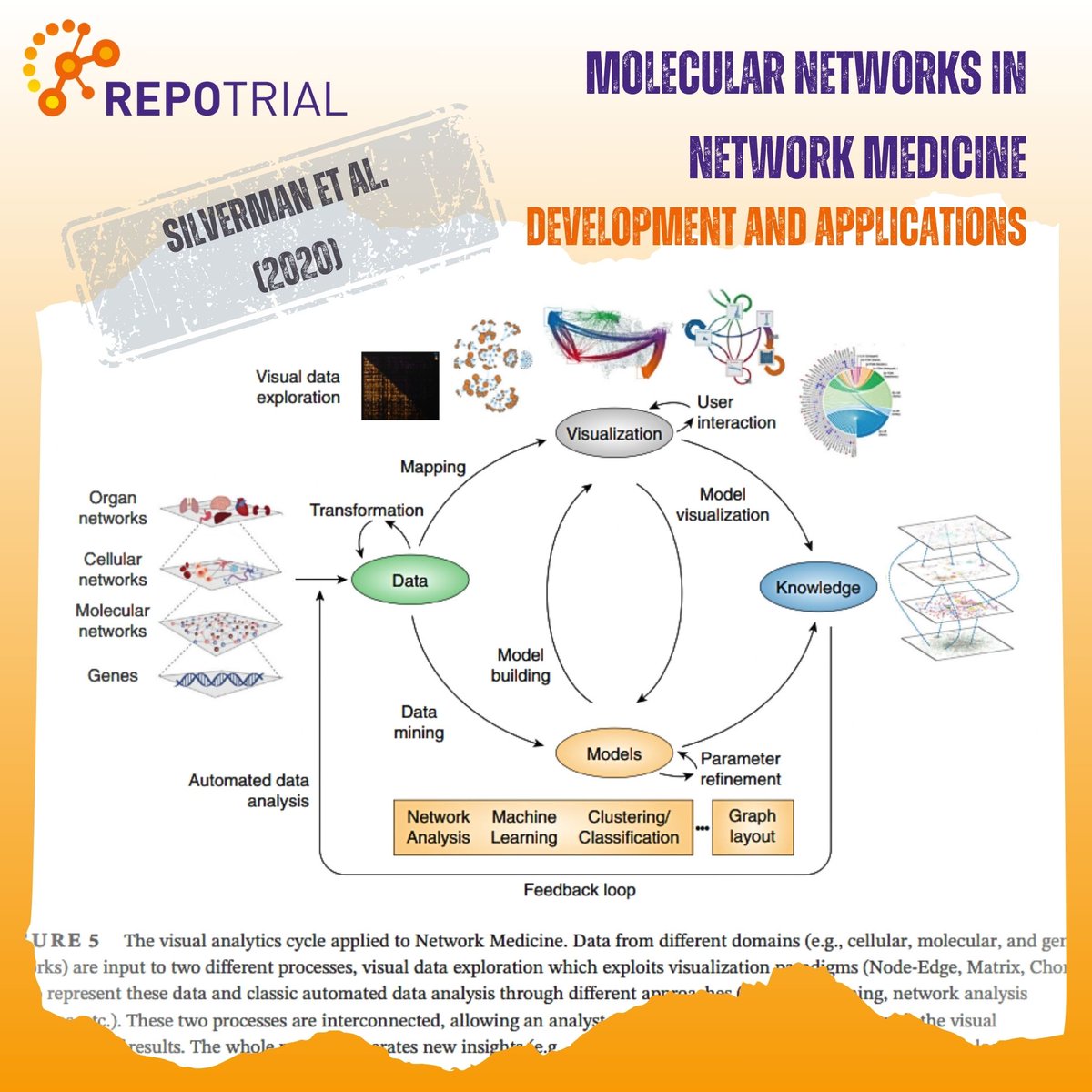 REPO-TRIAL H2020 (@repotrialh2020) on Twitter photo 🧬#SystemsMedicine today⚕️: This #Review discusses #MolecularNetworks (types of data, analytical methods, ways to validate them). Categorizing diseases by organs or symptoms is the past - deciphering disease mechanisms is the future! @hhhwschmidt <a href="/REPO4EU/">REPO4EU</a>
wires.onlinelibrary.wiley.com/doi/abs/10.100… 🧬#SystemsMedicine today⚕️: This #Review discusses #MolecularNetworks (types of data, analytical methods, ways to validate them). Categorizing diseases by organs or symptoms is the past - deciphering disease mechanisms is the future! @hhhwschmidt <a href="/REPO4EU/">REPO4EU</a>
wires.onlinelibrary.wiley.com/doi/abs/10.100…