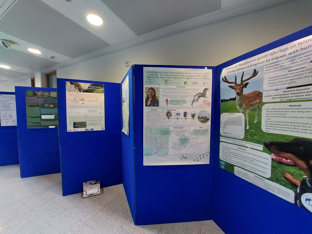 Linda Lyne tweet media