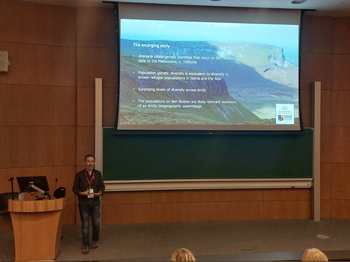 Linda Lyne tweet media