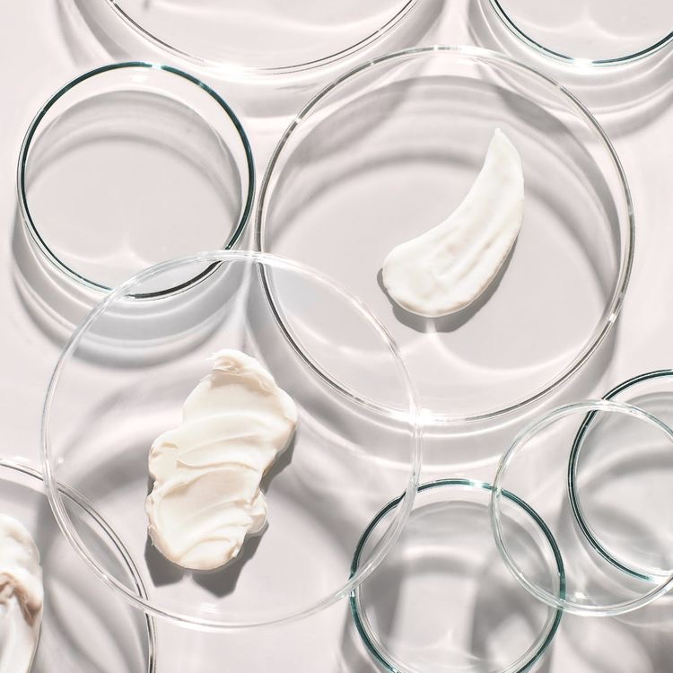 Daryna Pyrig tweet media