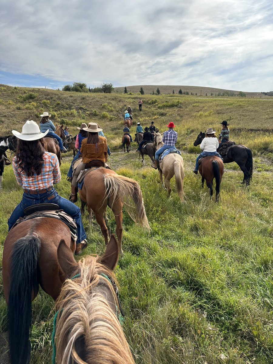 Stampede Princess Brooke tweet media