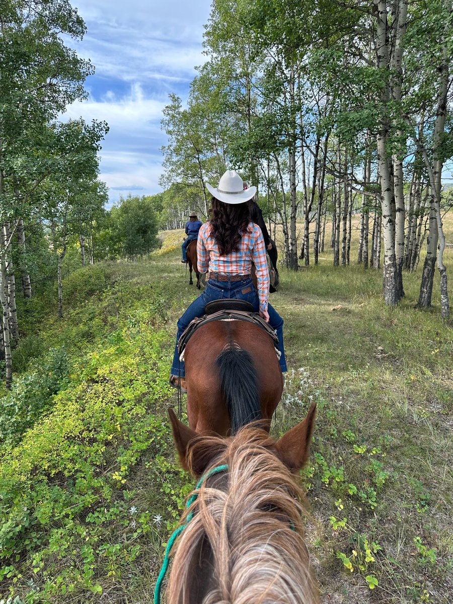Stampede Princess Brooke tweet media