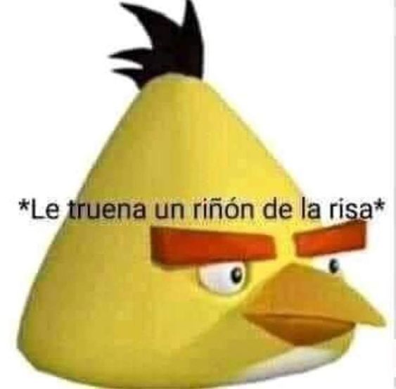fuegapapeadas's tweet photo. @garfieldreal12 @NachouTheClown https://t.co/0YFlotxccs