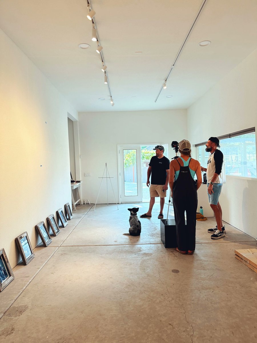 Bee Girl tweet media