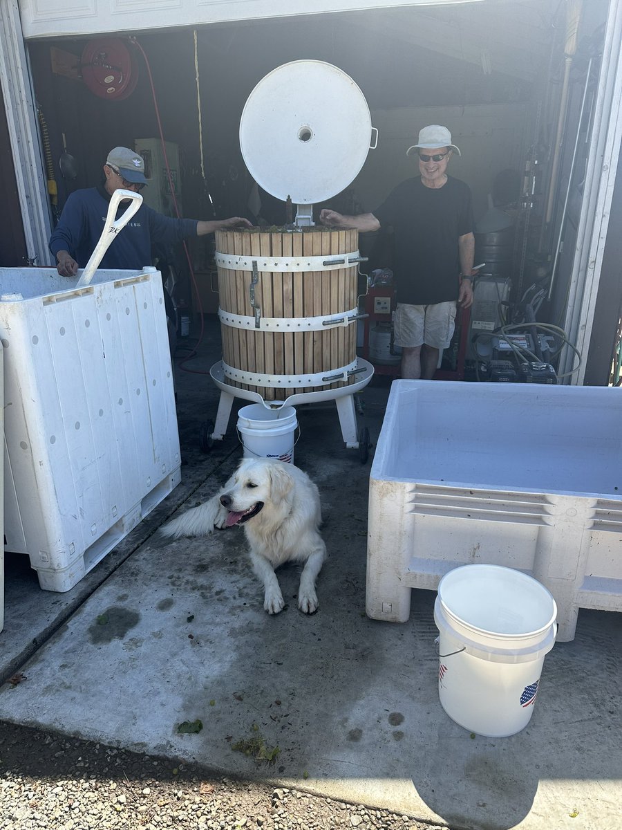 He is ready to squeeze those berries.