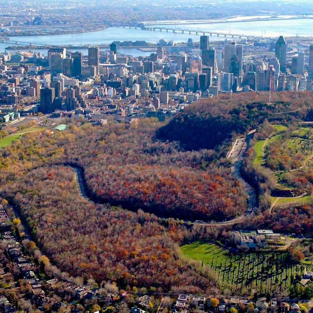 Val_Plante's tweet photo. Demain, on vous présentera notre vision ambitieuse pour l’avenir du mont Royal. 

Quand il est question d’agir pour la sécurité, l’environnement et l’accès à la Montagne, tout en prenant en compte les réalités d’aujourd’hui et les défis de demain, on répond présent. https://t.co/0emMPGL5vs