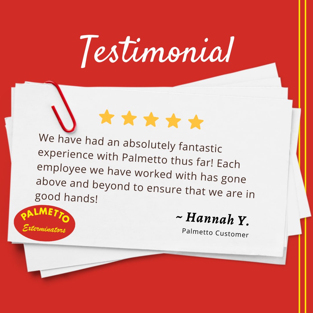 PalmettoExandMC's tweet photo. "We have had an absolutely fantastic experience with Palmetto thus far! Each employee has gone above and beyond to ensure that we are in good hands!"
Comment & let us know how we're doing around your home.
#pestcontrol #localexterminator #palmettoexterminators https://t.co/kEPsEQMKIu