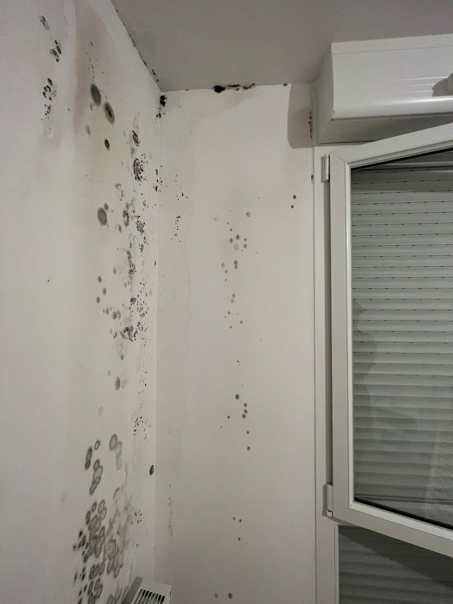 LaReineDeTimbi tweet media