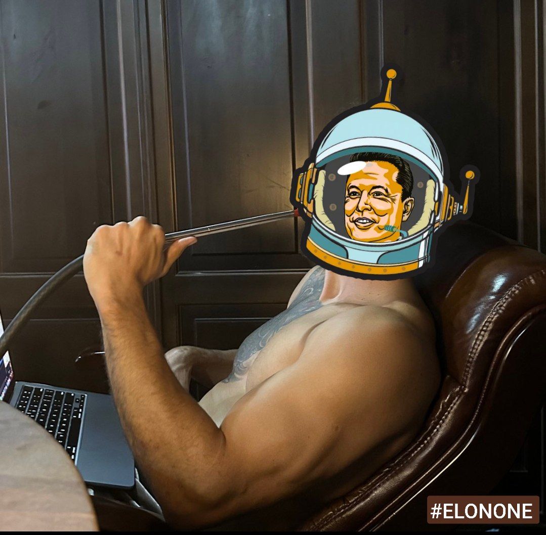 <a href="/Cobratate/">Andrew Tate</a> <a href="/dngcomics/">DNG Comics</a> #ELONONE is also poised for a takeover.
🫡