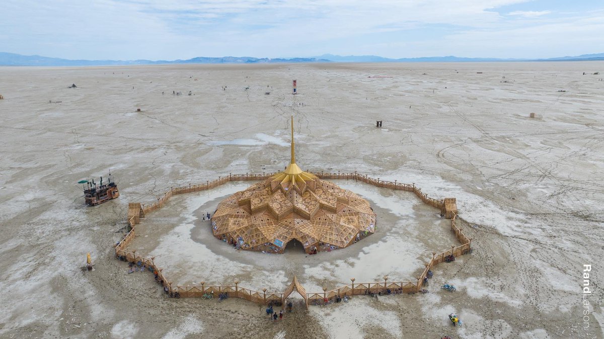 ✶ ela ✶ tweet media