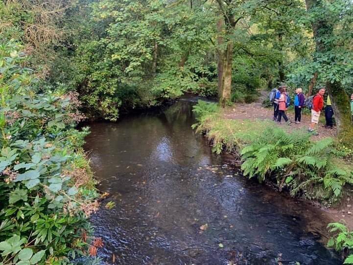 spgalea's tweet photo. Lovely post-work walk with #DigbyDog🐶 and @SwanseaRamblers family through sprawling woodland of beautiful Penllegare Valley Woods with its majestic trees🌳, muddy #hiking trails, pretty waterfalls, bridges and river🥾
#MyMagicalMotherland🏴 #Wales❤️
@RamblersCymru @RamblersGB https://t.co/WmemF013Gh