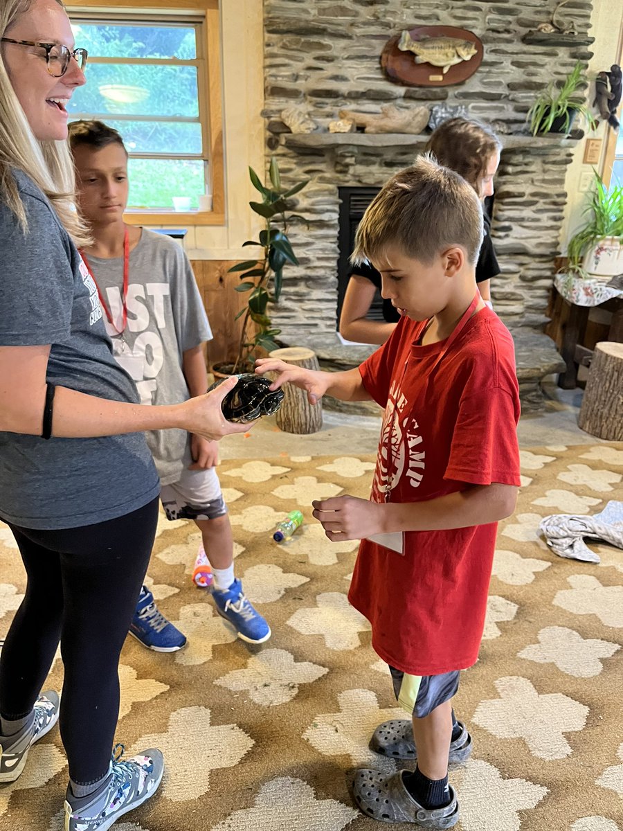 Anna Pavkov tweet media