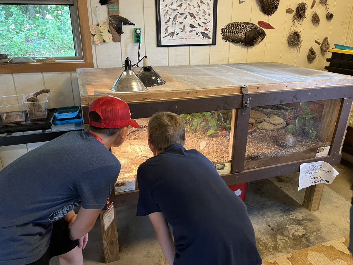 Anna Pavkov tweet media