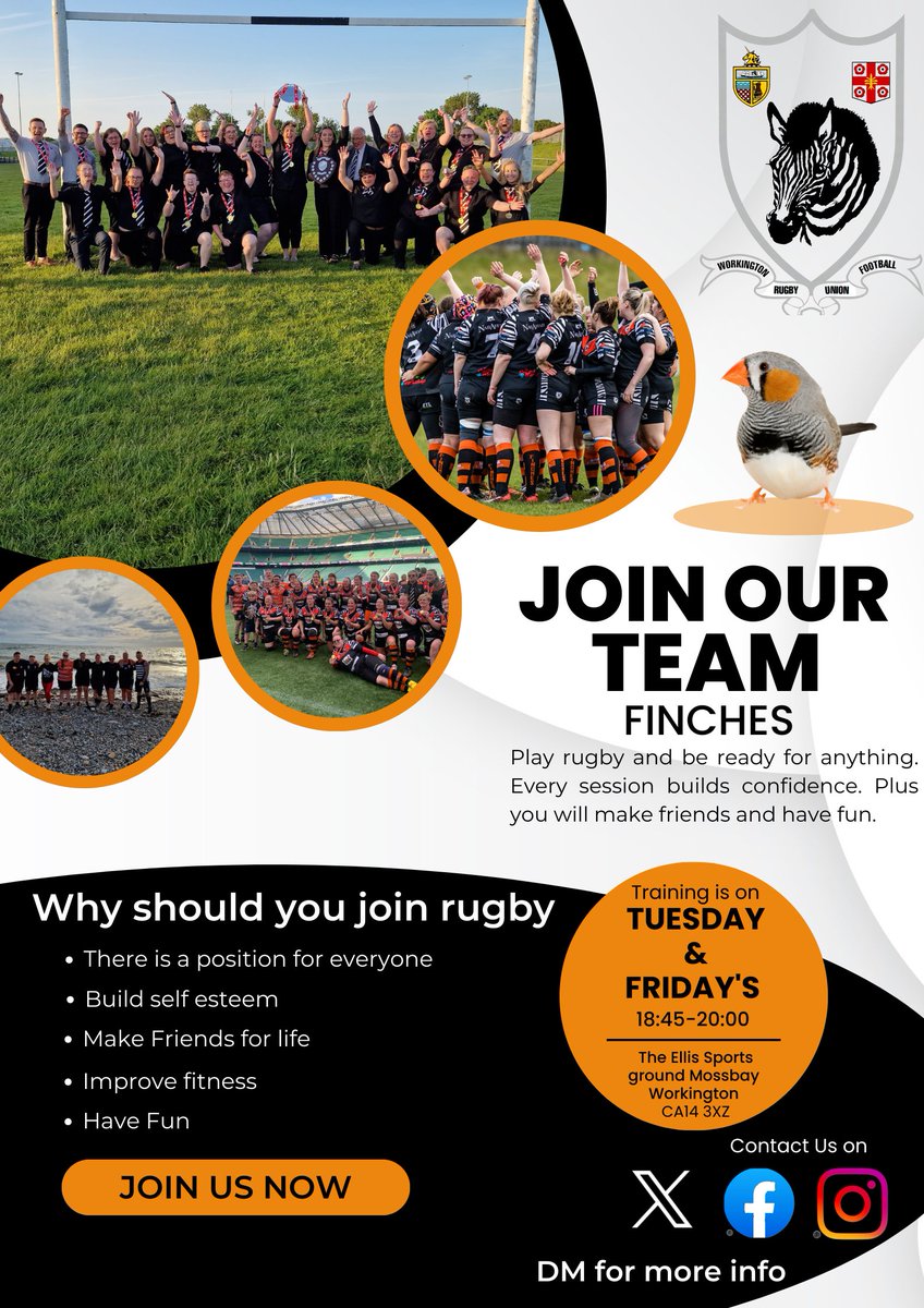 Workington Zebra Finches tweet media