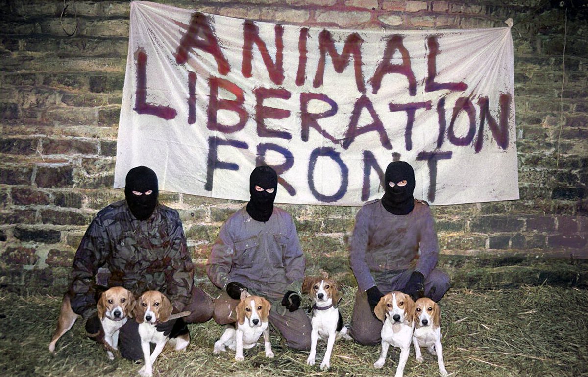 For many anarchists, increasingly, animal liberation is a political stance that we take for ourselves, in accordance with our ideas, by refusing to be complicit in what we see as a brutal form of domination and exploitation.