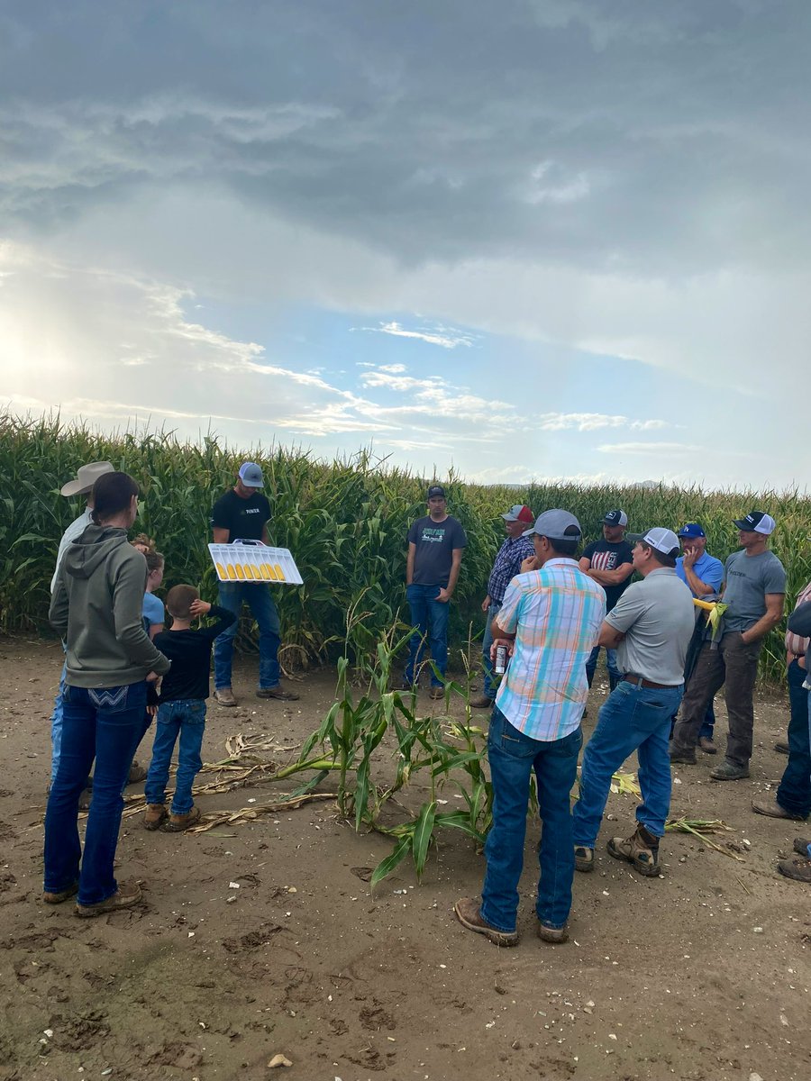 nelliespence142's tweet photo. Great plot day spent with Toston/Townsend/WSS &amp; Gallatin Valley area growers last week. These guys grow corn in some of the toughest environments - a huge testament to the trust that is had in our extreme early day products! @PioneerSeeds @BrettHeidema #PioneerSeedsMT https://t.co/PtUEJgfSZG