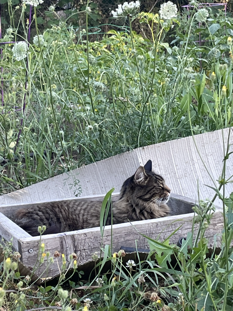 Maddy Apple (she/her) tweet media