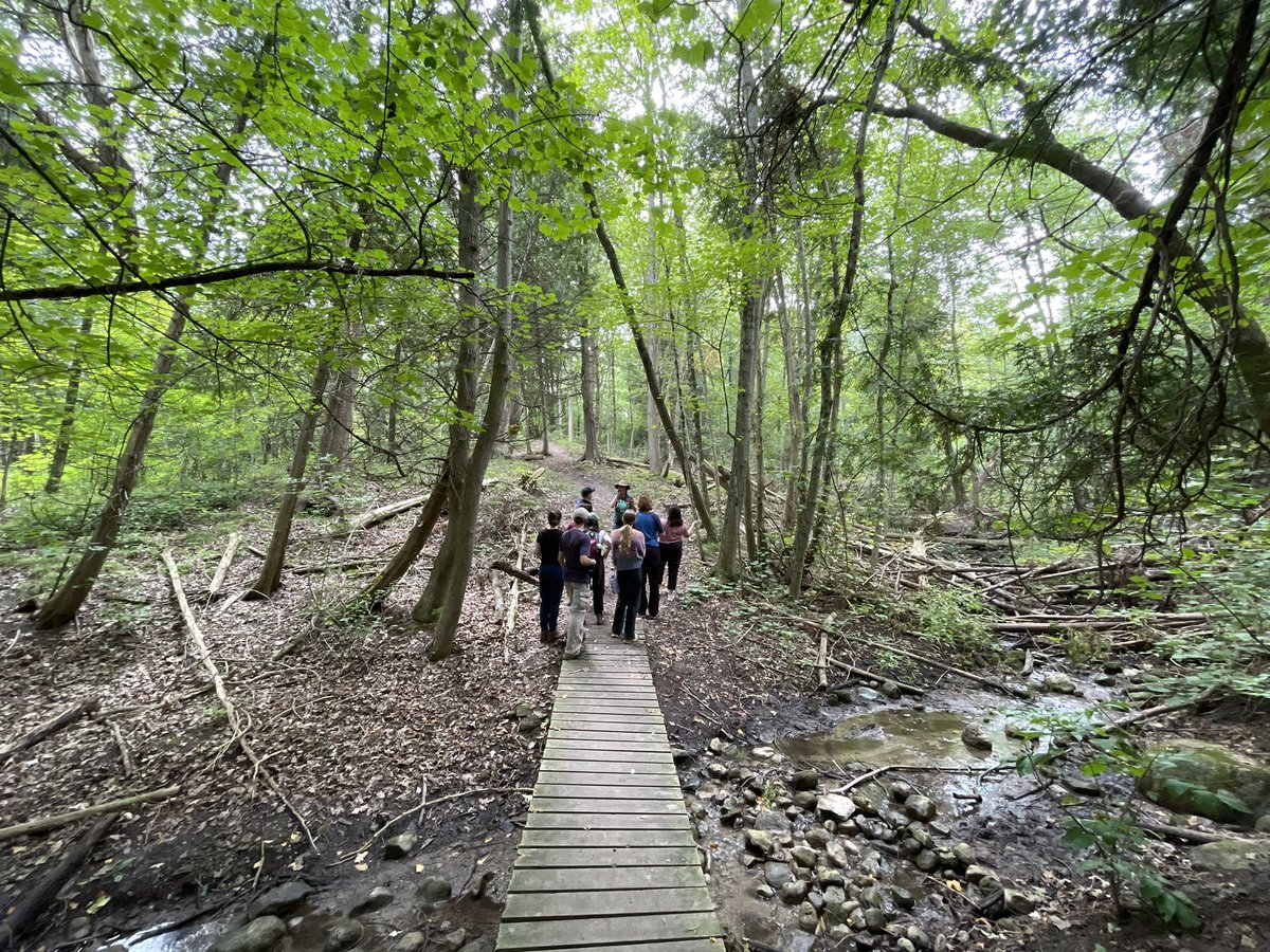 We had a great few days at our first SUNTeam methodology workshop! 
Thanks to <a href="/FiveOaksCentre/">Five Oaks Centre</a> for the great food and space, and to GROWE Outdoor School for teaching about edible and medicinal forest plants. A great start to Fall term, helping us reconnect, reflect &amp; plan.