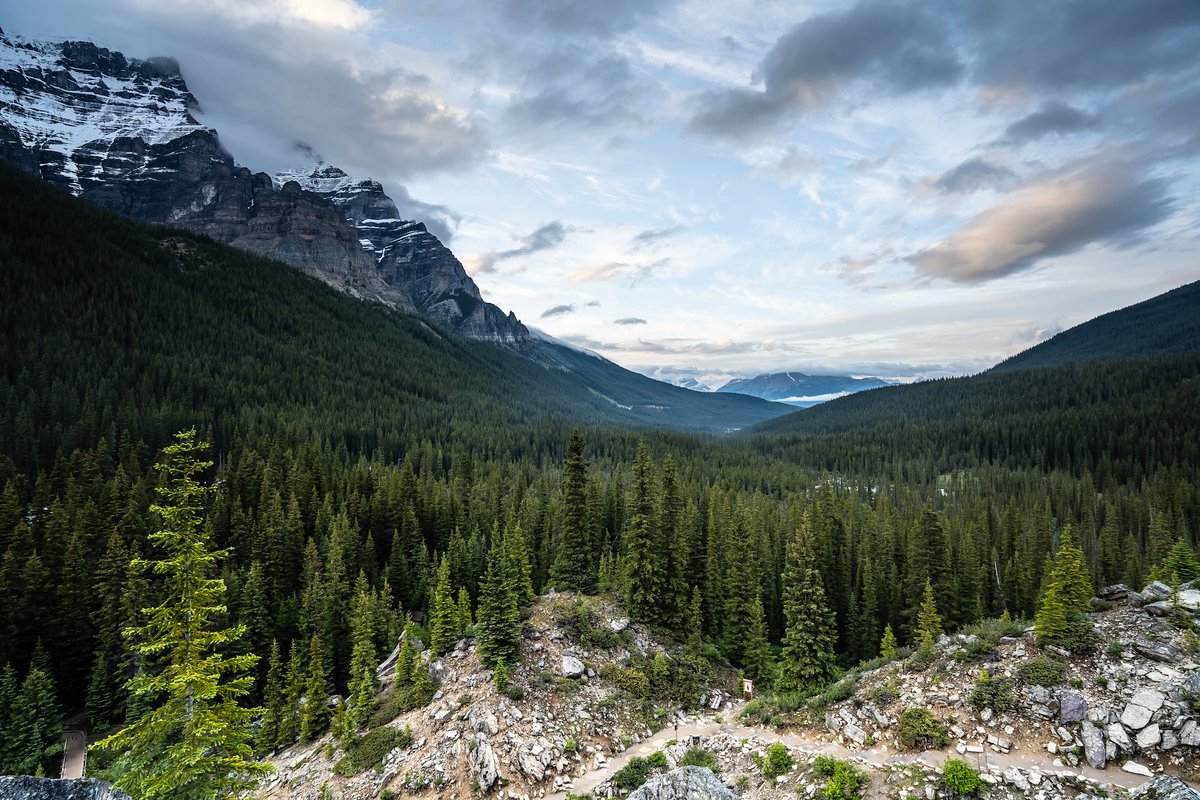 🌲 Today marks the start of #NationalForestWeek, a celebration of Canada’s breathtaking forests and the vital role they play in our lives. 🌳✨ Head over to our friends at the @CIF_IFC to learn more and participate!