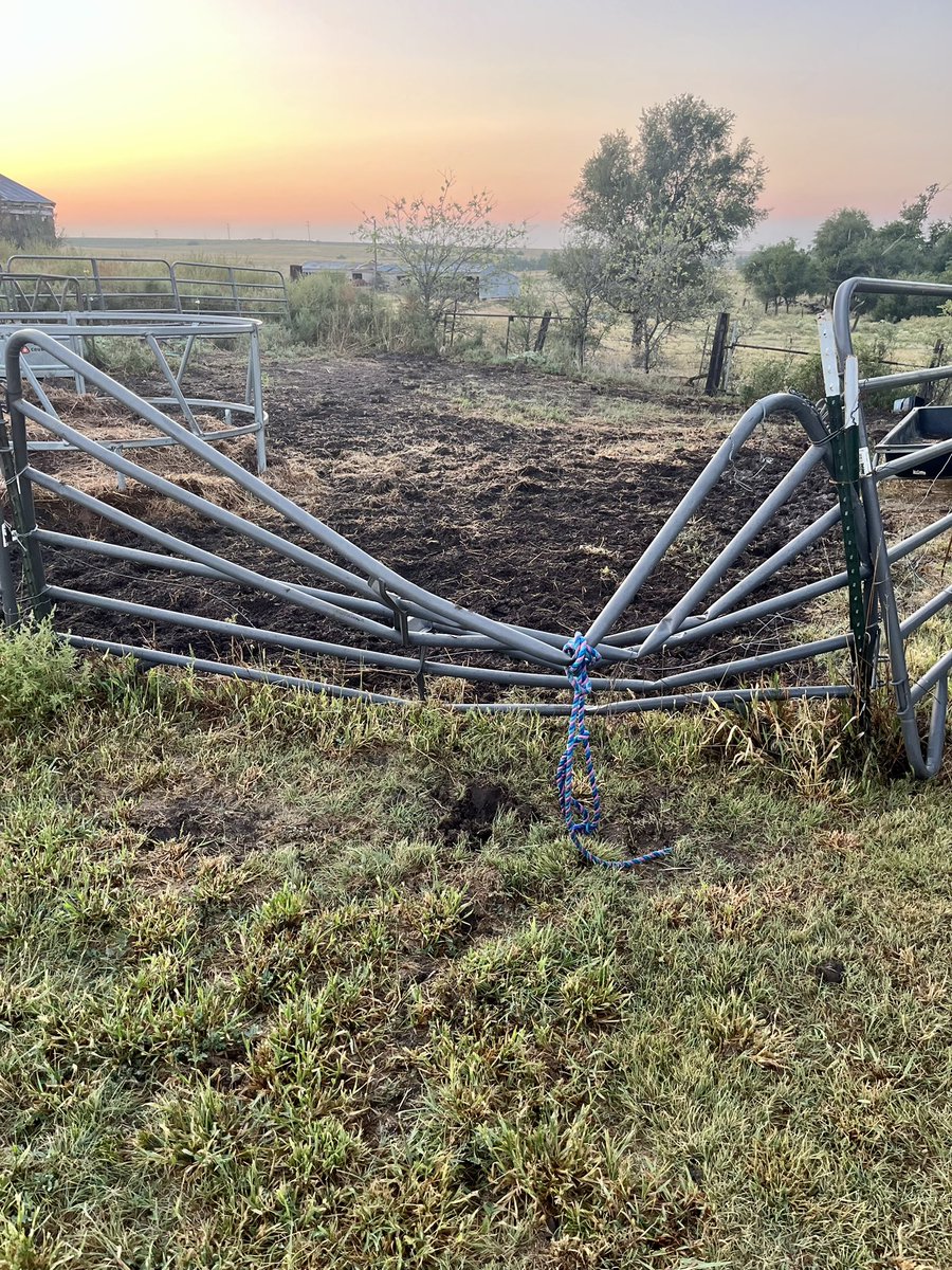 This is why we eat them.