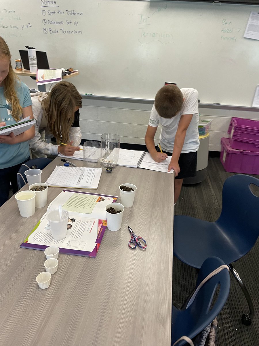 heldshornets's tweet photo. Let the fun begin! 5th graders creating terrariums for their little critters arriving soon. 
#Hornetpride https://t.co/3UAWPvMuTF