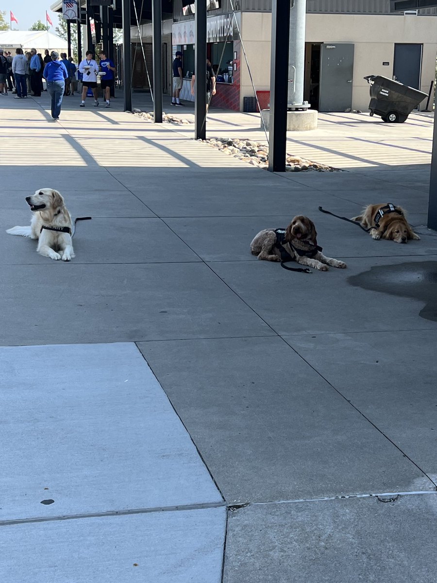 WonderdogHenry's tweet photo. Fantastic day of distraction training w/ ⁦@OMAStormChasers⁩ - Pawficer Mo ⁦@BellevuePolice⁩ &amp; K9 Matt ⁦@iowastatepatrol⁩ ⁦@K_Kotrous⁩ Don’t worry, we got PLENTY of ear scratches as we trained! 🐾⁦@SarpySheriff⁩ #hugdognotadrugdog https://t.co/ZsHK5tFCgQ