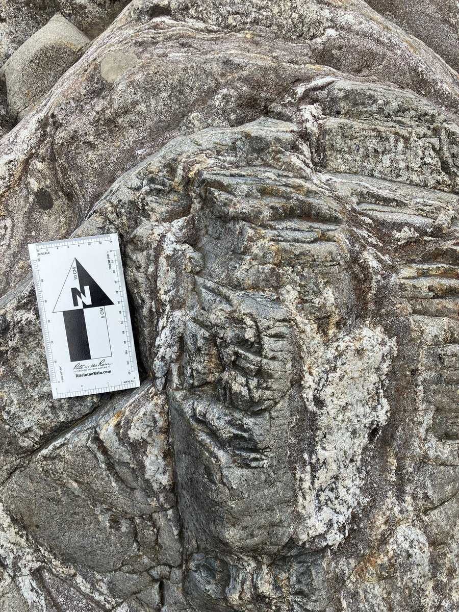 kirstenology's tweet photo. The mess that is #metamorphism. Our traverse through the Ivrea-Verbano zone offered so many interesting #rocks, but one thing that really stood out to me were these pretty pale pink #garnets from the #Kinzigite Formation! Who knew they could come in this shade 🤷♀️
@DurUniEarthSci https://t.co/UYxGlv678M