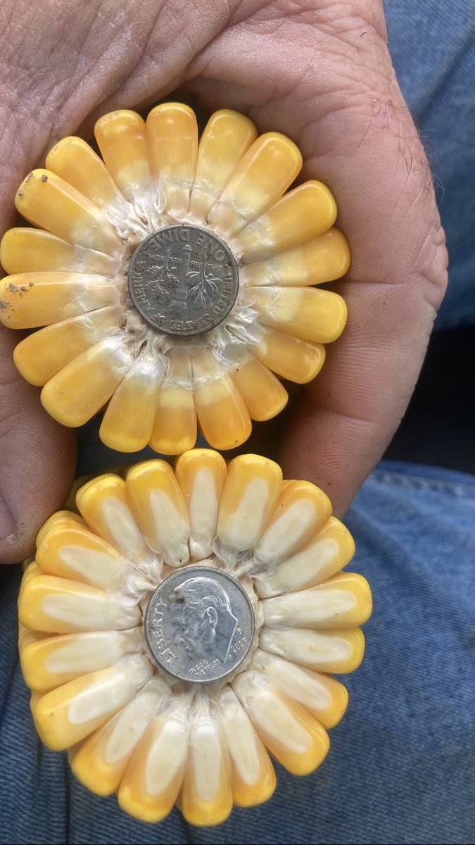 Kalb Farms tweet media