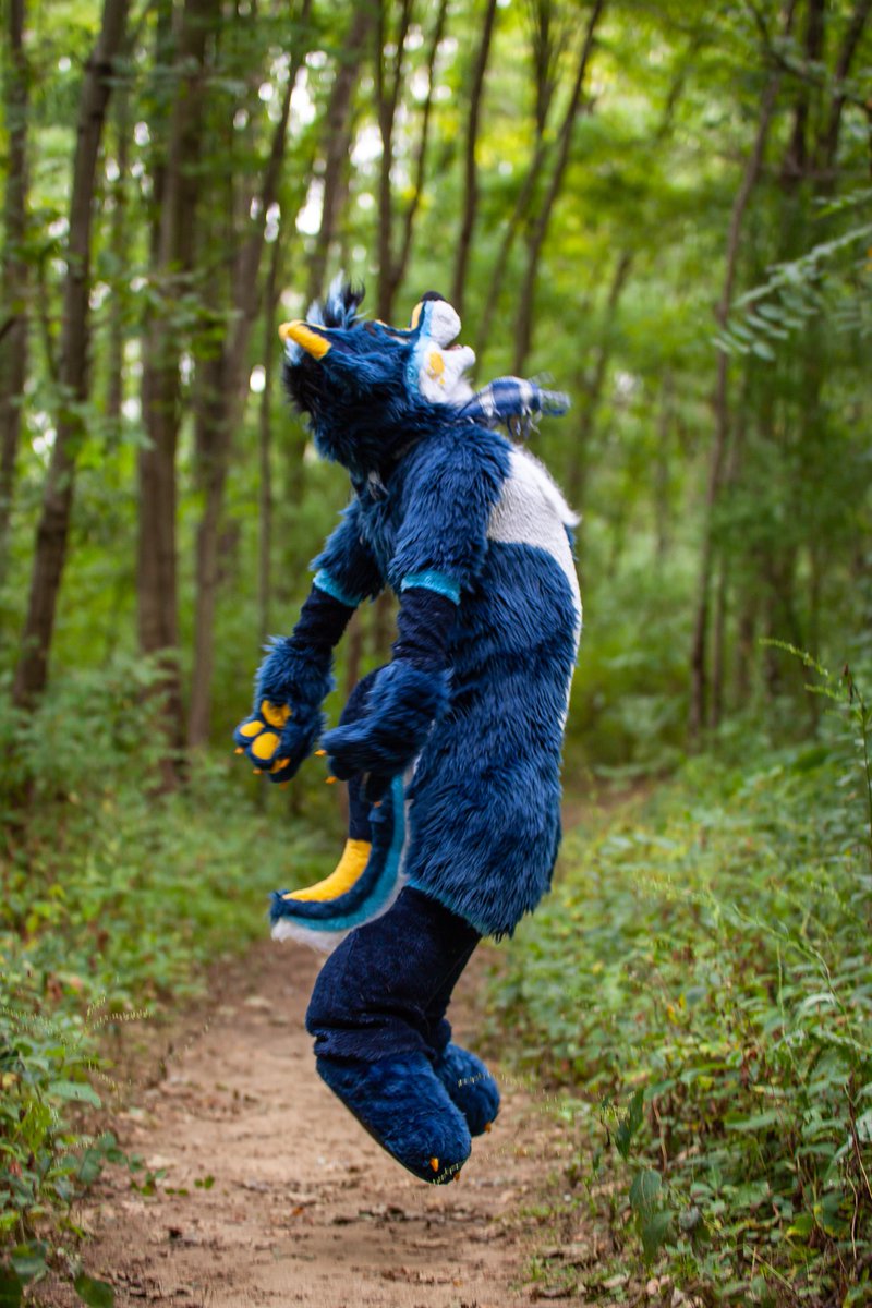 Puppymow's tweet photo. Get your hike on! 

📸 - @destry057 https://t.co/GbRF4PeIsF