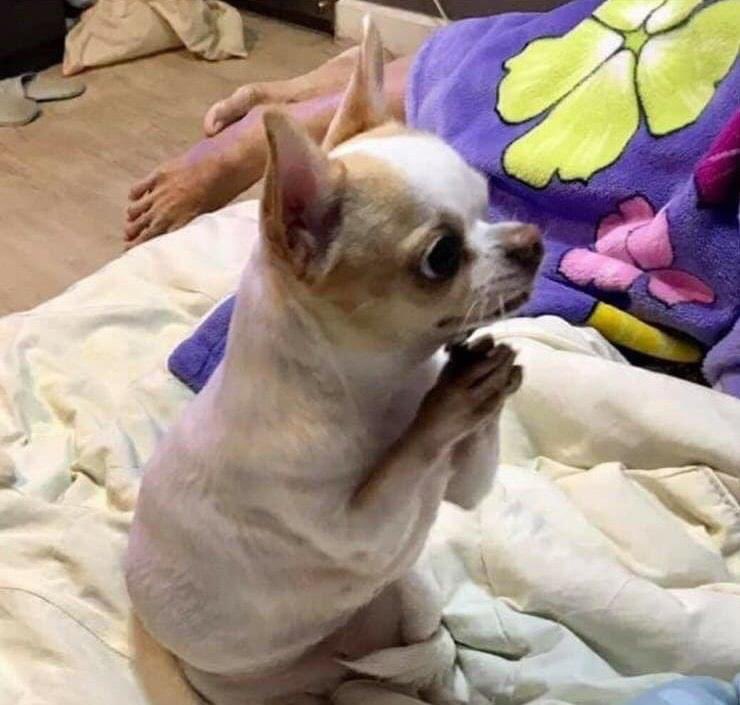 Killoposz tweet media