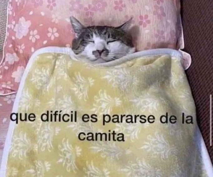 yo todas las mañanas: