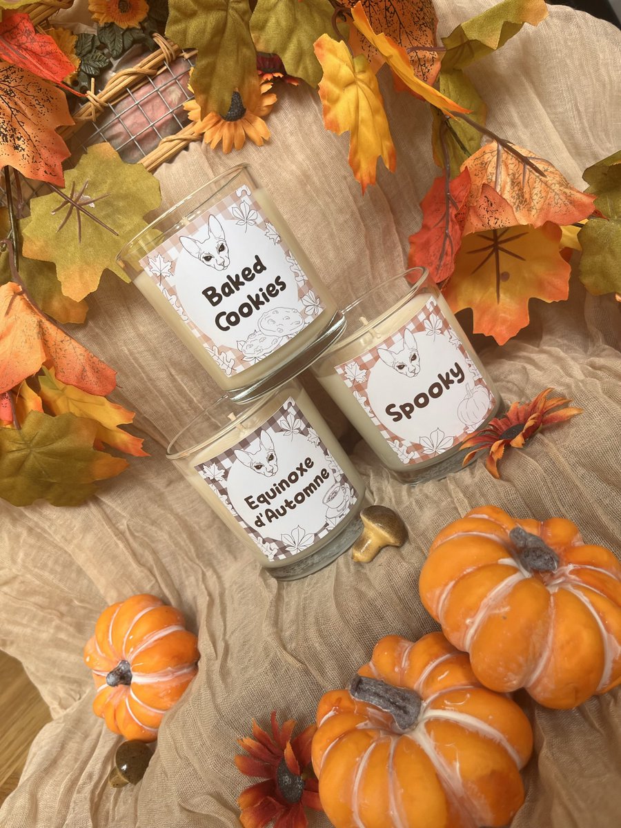 VegolasZer's tweet image. 🕯️ BASTET AUTOMNE 🕯️

La collection d’automne est des à présent disponible à la vente !

Ça se passe en DM insta 🫣👀

(Détail en bas de ce poste ⬇️)