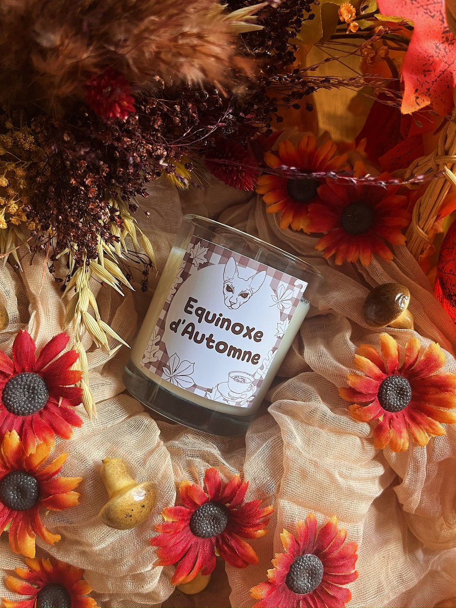 VegolasZer's tweet image. 🕯️ BASTET AUTOMNE 🕯️

La collection d’automne est des à présent disponible à la vente !

Ça se passe en DM insta 🫣👀

(Détail en bas de ce poste ⬇️)