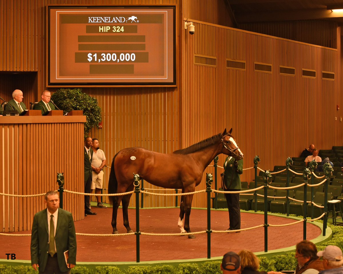 WinStar Farm (@winstarfarm) on Twitter photo Hip 324, a colt by CONSTITUTION sells for $1.3 million to OXO Equine at <a href="/keenelandsales/">Keeneland Sales</a> September sale! Congratulations to breeder, Kindred Stables! <a href="/IndianCreekKy/">Indian Creek</a> #FoundationFortheFuture Hip 324, a colt by CONSTITUTION sells for $1.3 million to OXO Equine at <a href="/keenelandsales/">Keeneland Sales</a> September sale! Congratulations to breeder, Kindred Stables! <a href="/IndianCreekKy/">Indian Creek</a> #FoundationFortheFuture