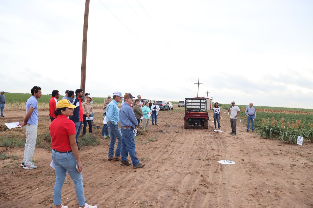 Saini DK tweet media