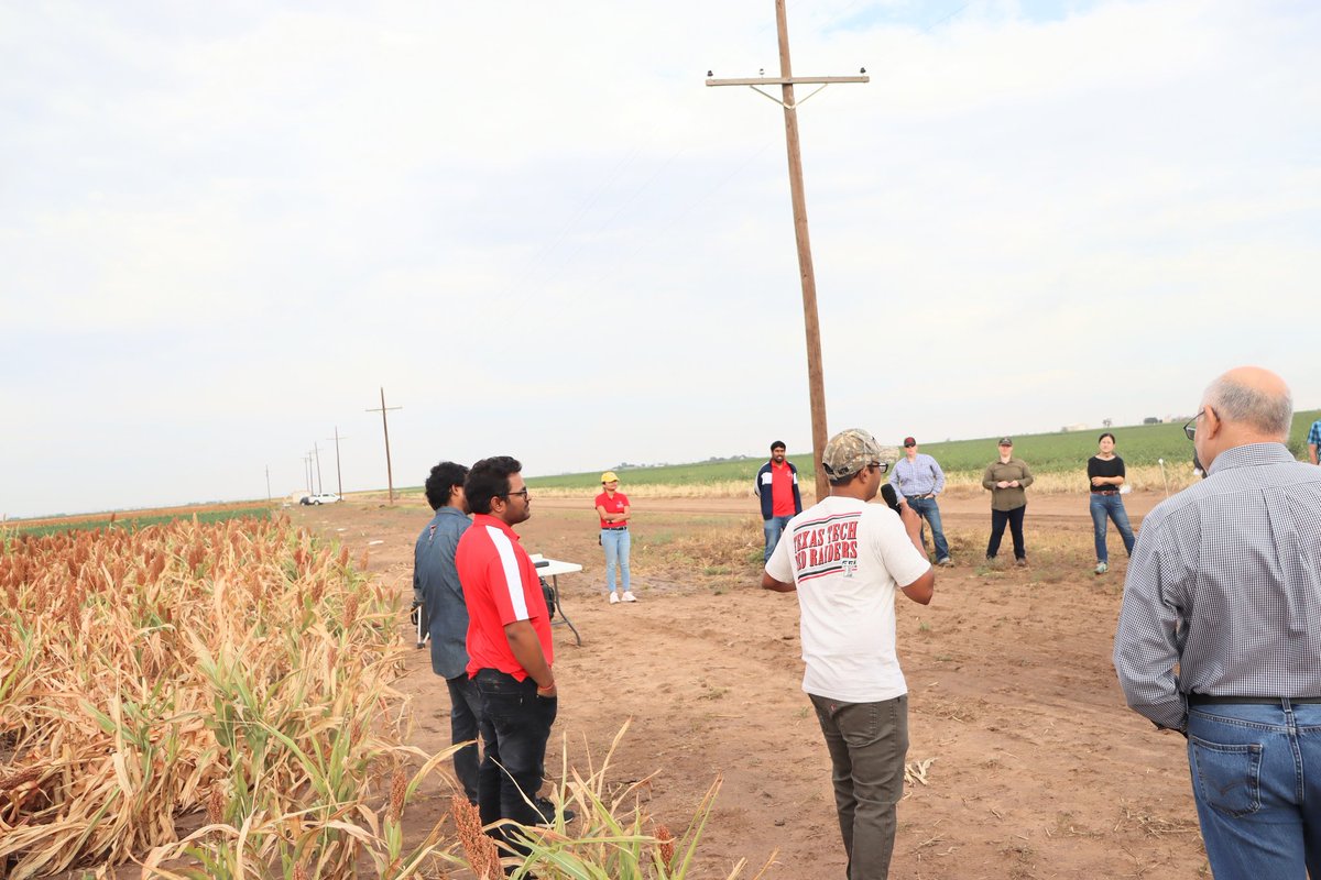 Saini DK tweet media