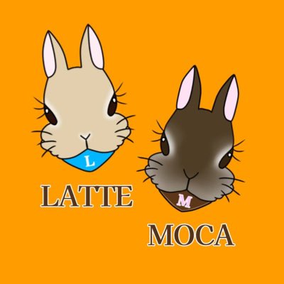 #新しいプロフィール画像
TIKTOK配信のリスナーさんに
書いてもらったぴょん😍

#うさぎ #うさぎのいる暮らし