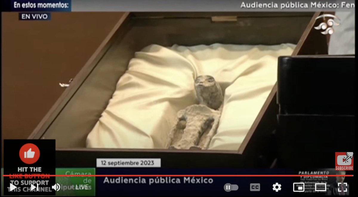 ChrisCYVR's tweet photo. Mexico #UAP / #UFO Hearing Alien Bodies:
- Recovered in Peru in a diatom mine
- Found in 2017 between Palpa &amp; Nazca
- Not part of our terrestrial evolution
- Carbon dated at approx 1000 years old
- Not mummies, bodies are intact
- Thoroughly researched 😮 
#ufoX #uapX #ufotwitter https://t.co/R9y9tLEbIu