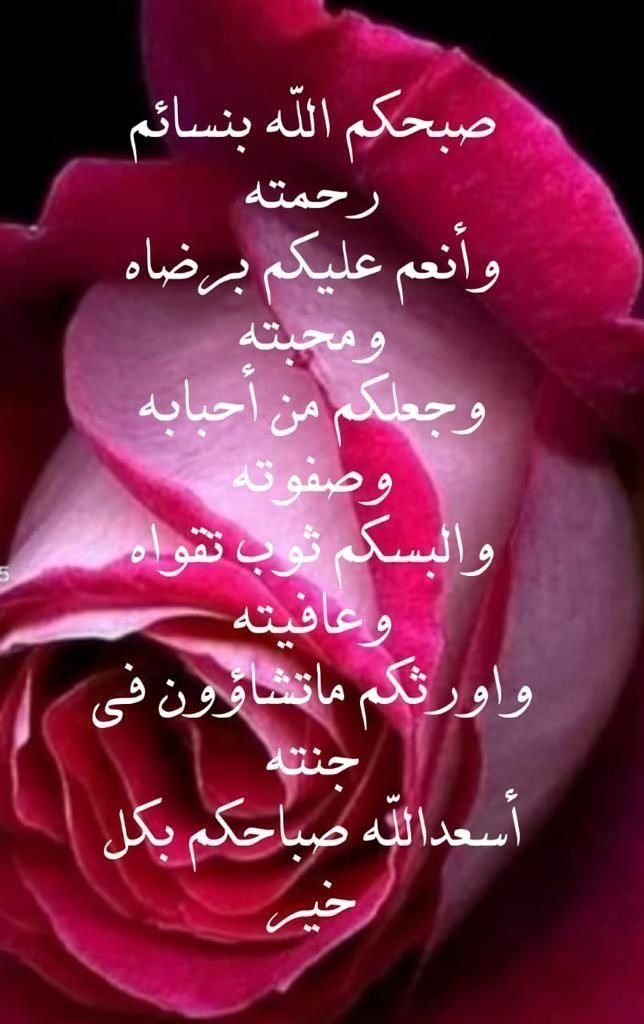 Noo500ra's tweet photo. ورجعنا  لكم مره ثانيه
 صباح الامل والتفاؤل والجمال صباح الرضا والرضوان  صباح النس الطيبه اللي قلبها ابيض وتحب الخير  لبعضها https://t.co/ioQFvWXIJB