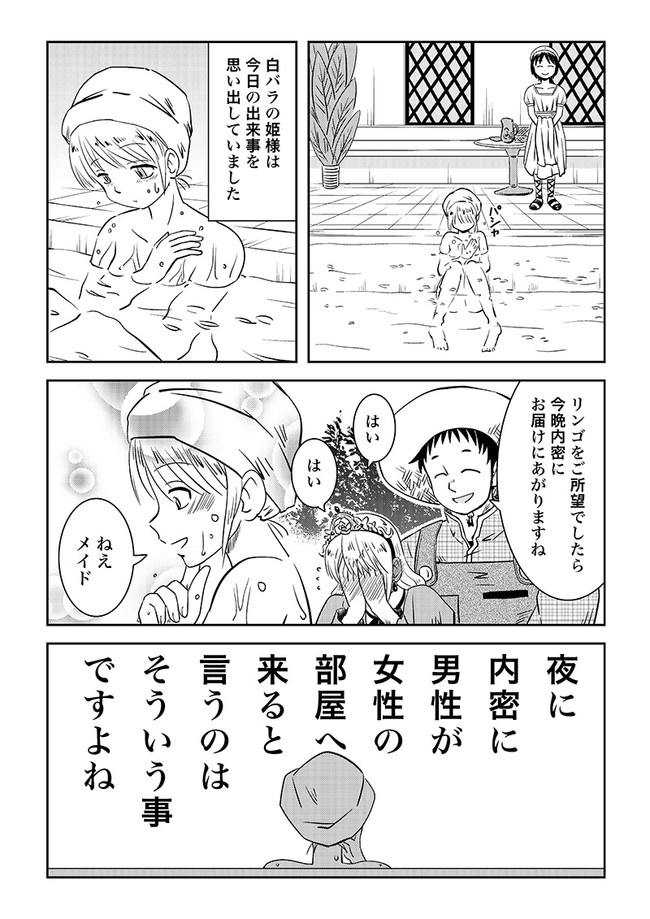 最強の姫騎士と白バラ3 1/2