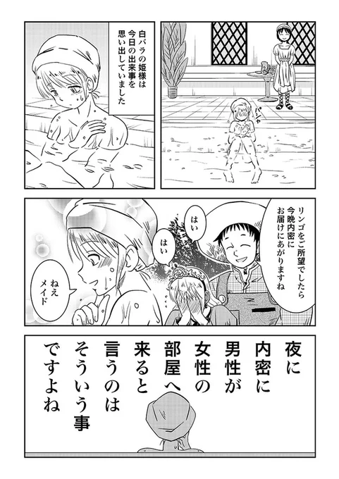 最強の姫騎士と白バラ3 1/2