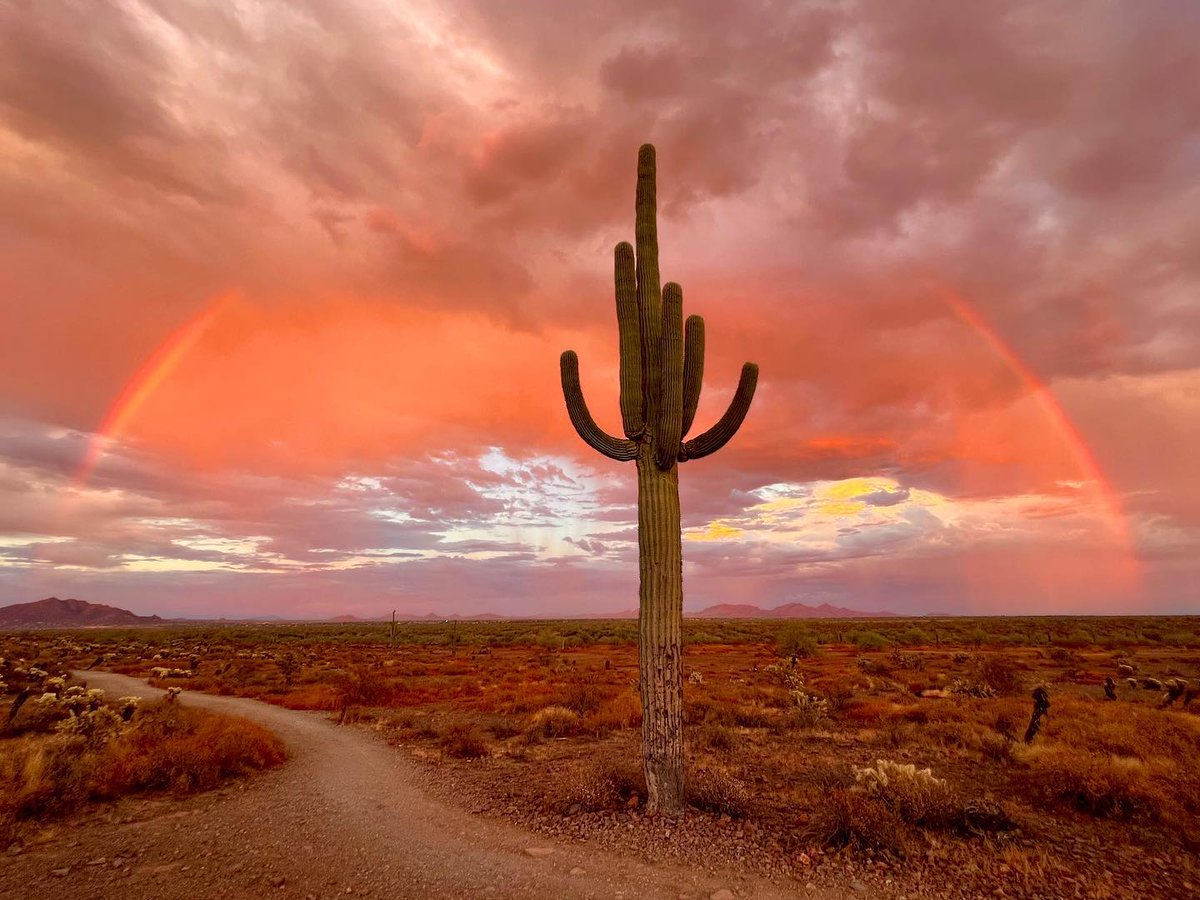 ArizonaTourism's tweet photo. It's giving ✨main character energy✨ 

📍Apache Wash Trailhead
#📸: @michael_marcinko

#visitarizona #azsunsets #monsoon #exploreaz #onlyinarizona https://t.co/smqQ9dK1nN