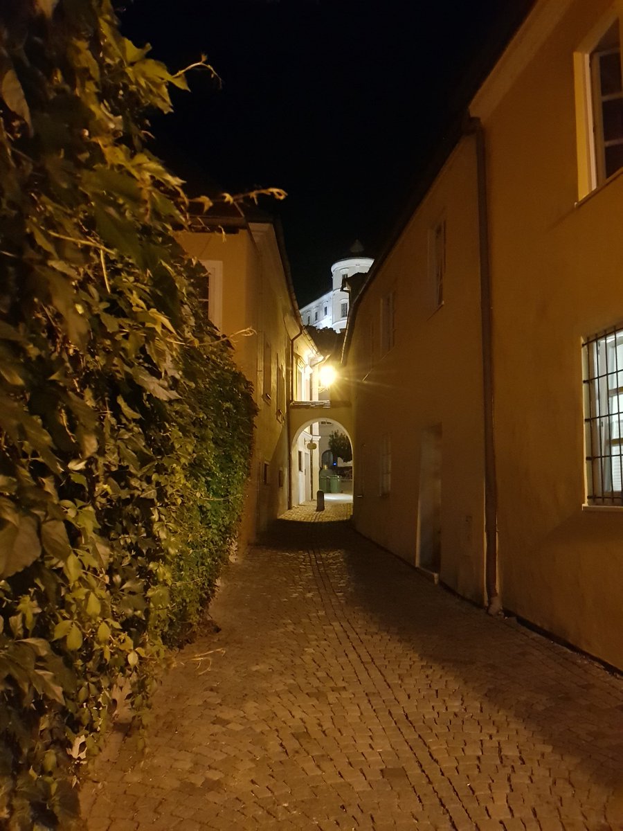 R_John_Arch's tweet photo. Just arrived in beautiful Mikulov, Czech Republic, for the Mikulov Anthropology Meeting. Tomorrow I'll be giving a talk on morphological changes in late Gravettian shouldered points. But today it's about local customs. Thanks to @Neandertal1 for making this possible! https://t.co/EP5Nz3GJJ9