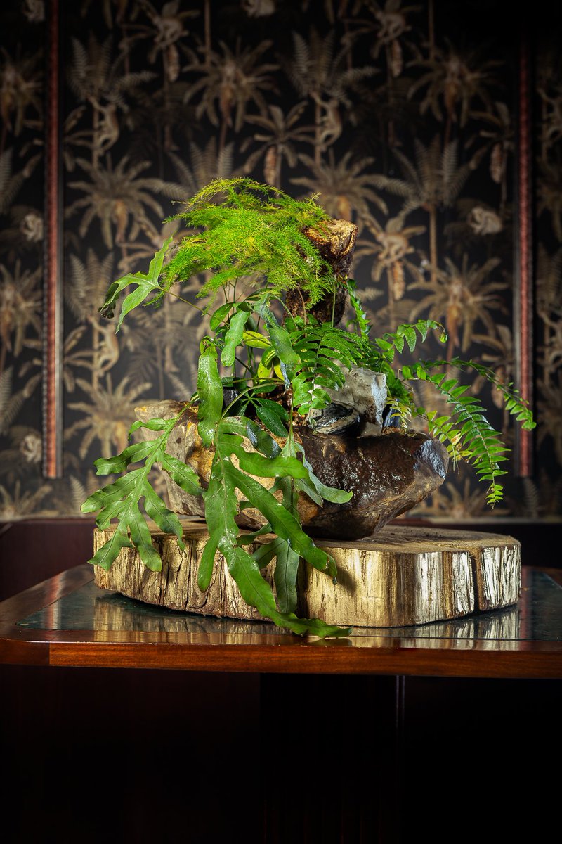 Pieza de la colección “Cuerdo”
Foto: <a href="/Karimiztan/">Karimiztan</a>