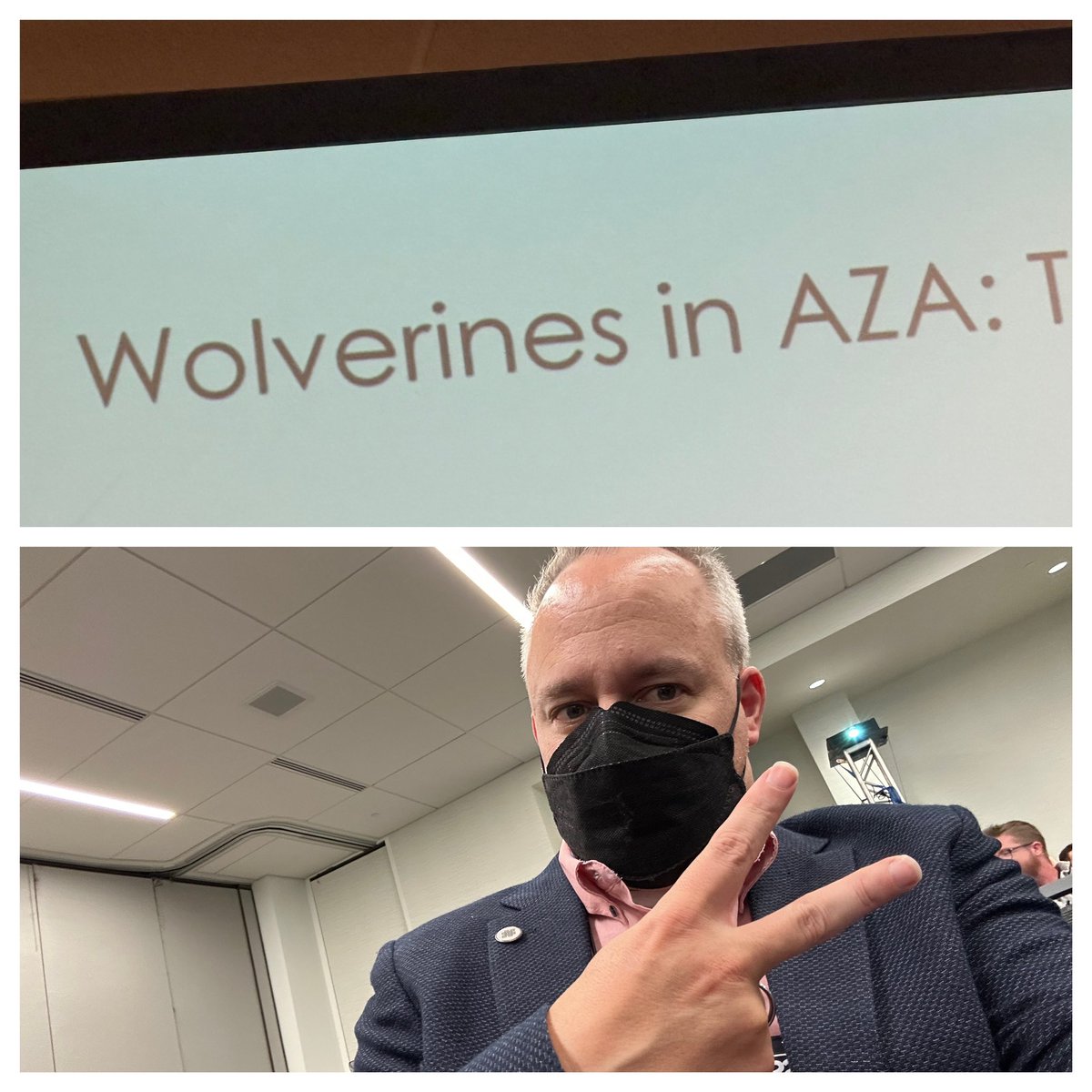jimwharton's tweet photo. Wolverines in AZA. #AZA2023 #eveningbuzz https://t.co/NVsPAHFORp