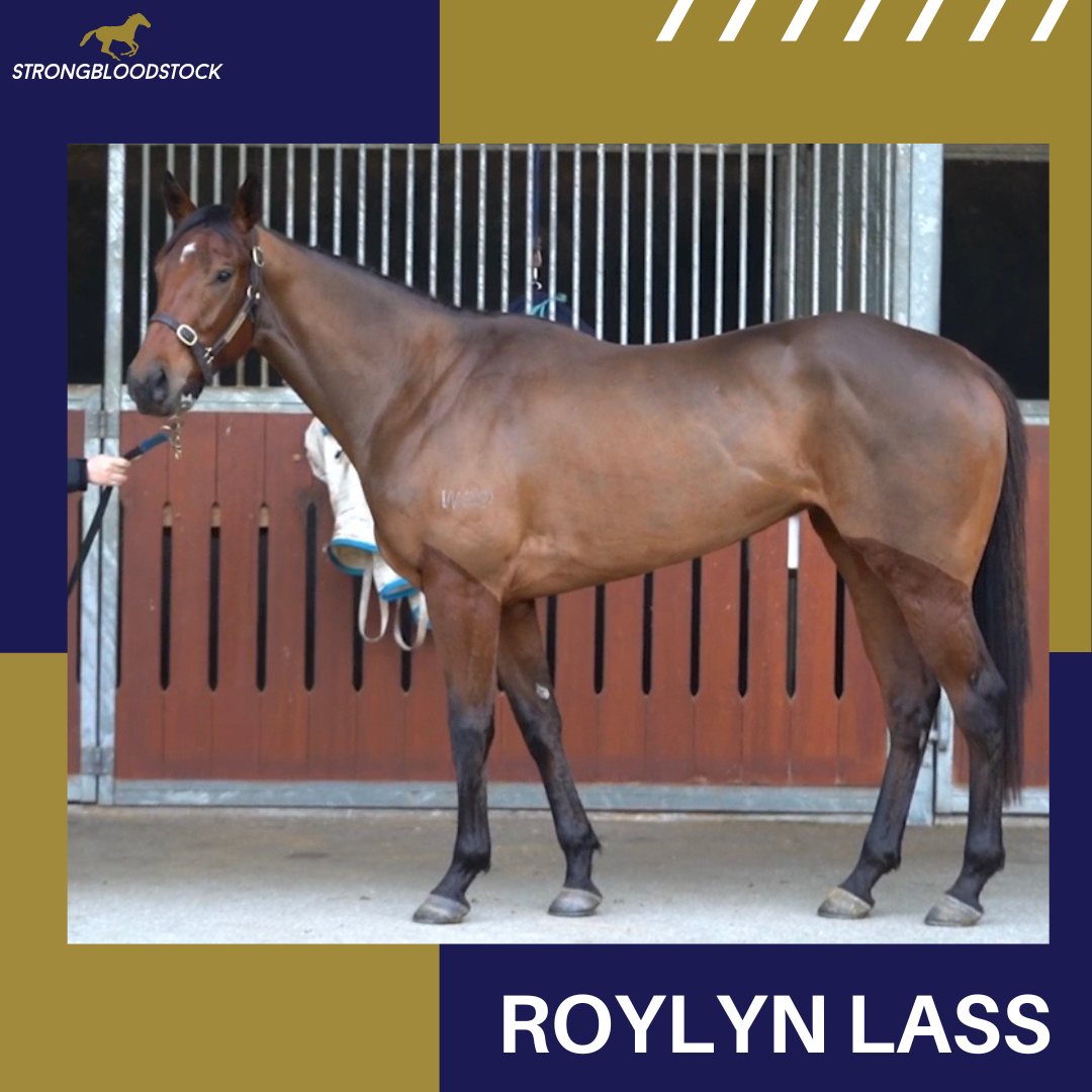 😍 It's an exciting day for our partners as ROYLYN LASS makes her debut for @munceracing 

🏇 The 3YO filly will be ridden by @WilsonTaylor99 in the opening race at @brisracingclub today

Best of luck to KWT and our partners in this girl 💪