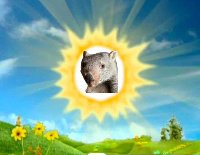 WombatCoinErc's tweet photo. Rise and Shine ☀️ https://t.co/tPYCL4ZIs3