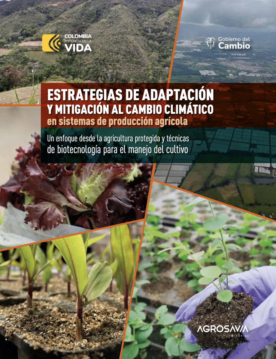 #EditorialAGROSAVIA Estrategias de adaptación y mitigación al cambio climático en sistemas de producción agrícola: Un enfoque desde la agricultura protegida y técnicas de biotecnología para el manejo del cultivo. 👉 doi.org/10.21930/agros…