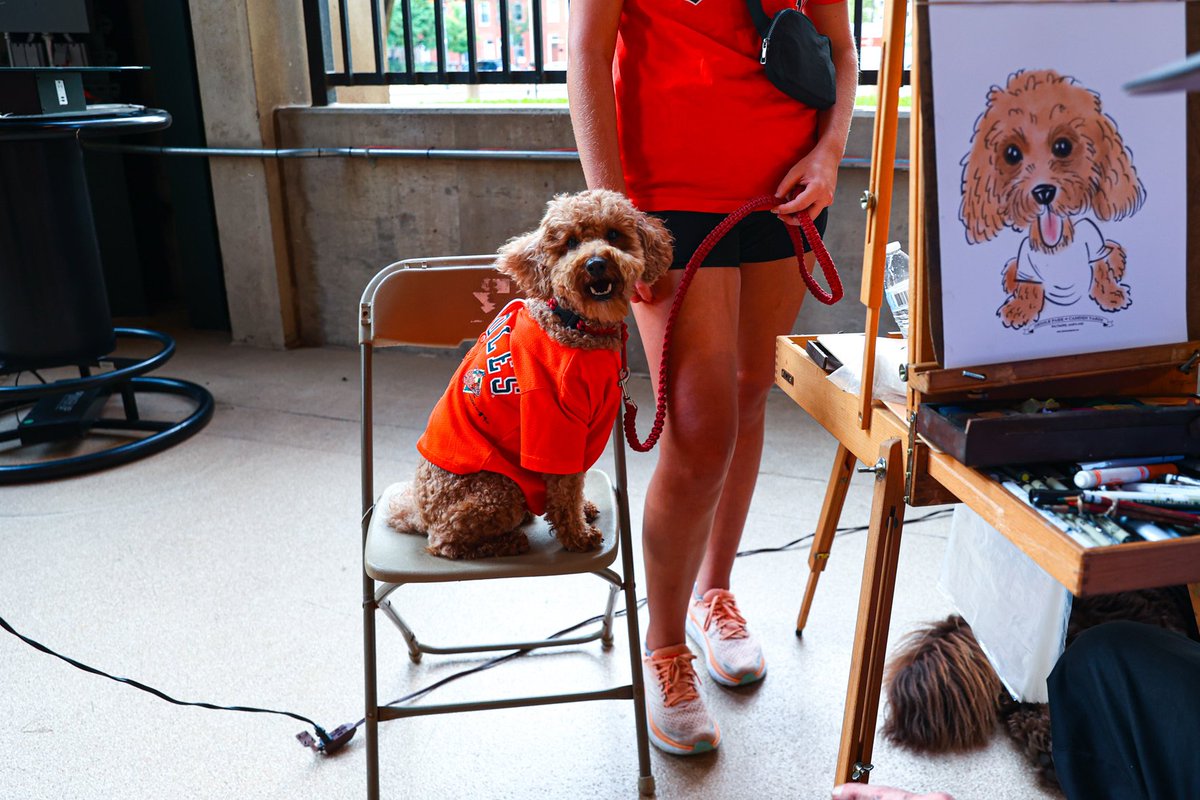 Orioles's tweet photo. bark bark bark bark bark bark bark bark bark bark bark bark bark bark bark bark bark bark bark bark bark bark bark bark bark bark bark bark bark bark bark bark bark bark barkbark bark bark bark bark bark bark bark bark. https://t.co/LQieNUJSRx