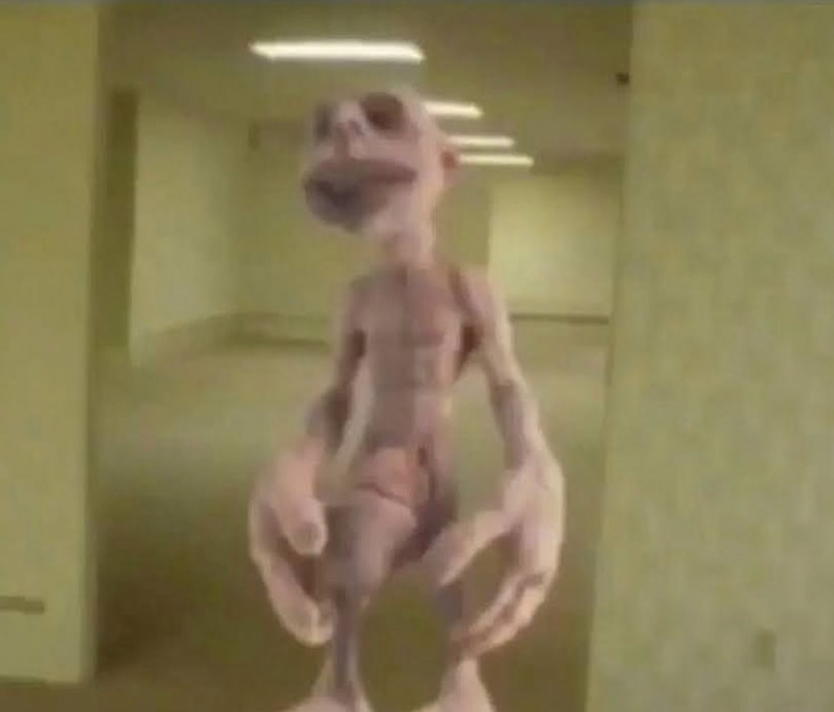 BrendanDaGawd's tweet photo. the tapeworm in my stomach after i swallow 4 perc 30s https://t.co/pDubjy7lwJ